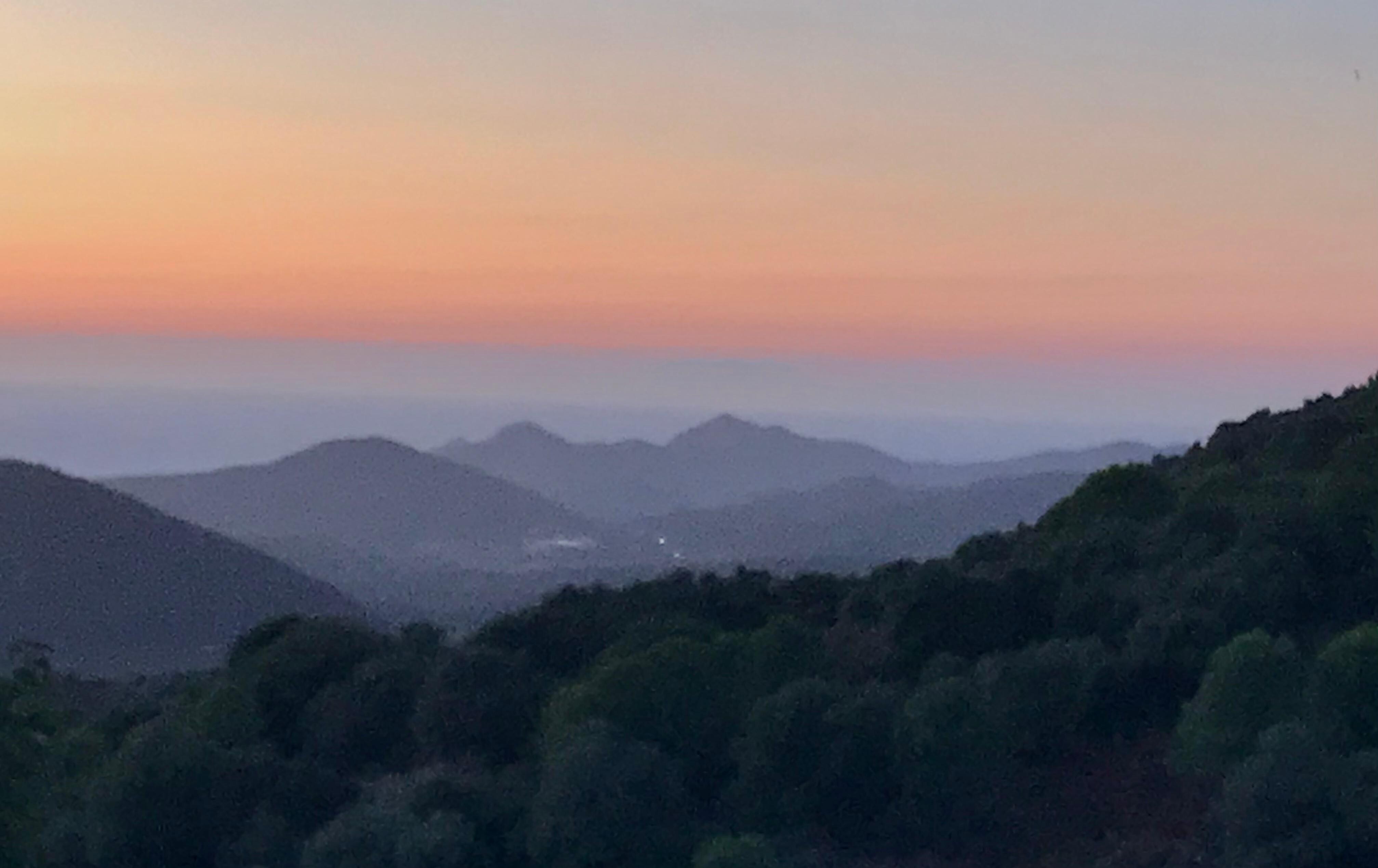 Vue depuis la terrasse 