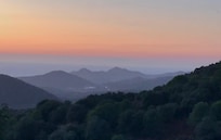 Vue depuis la terrasse