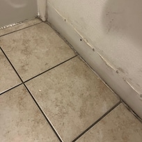 Floor in hallway, mold on walls