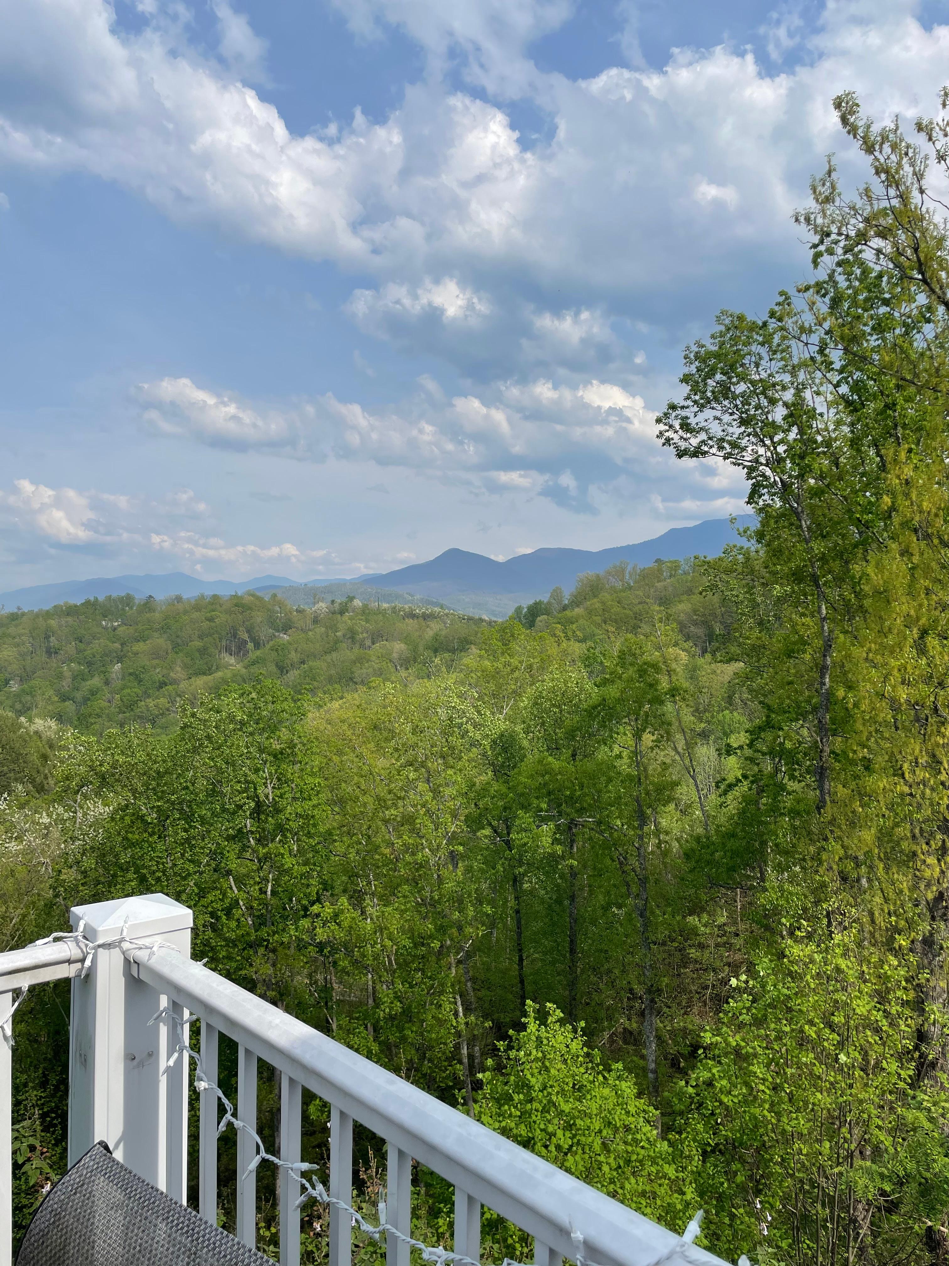 View from dining area deck