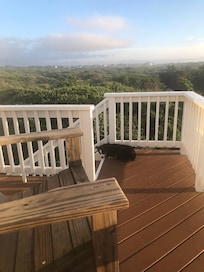 View of the backyard Maritime Forest from the 3rd floor deck.