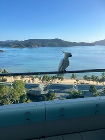 View from our balcony (14th floor)