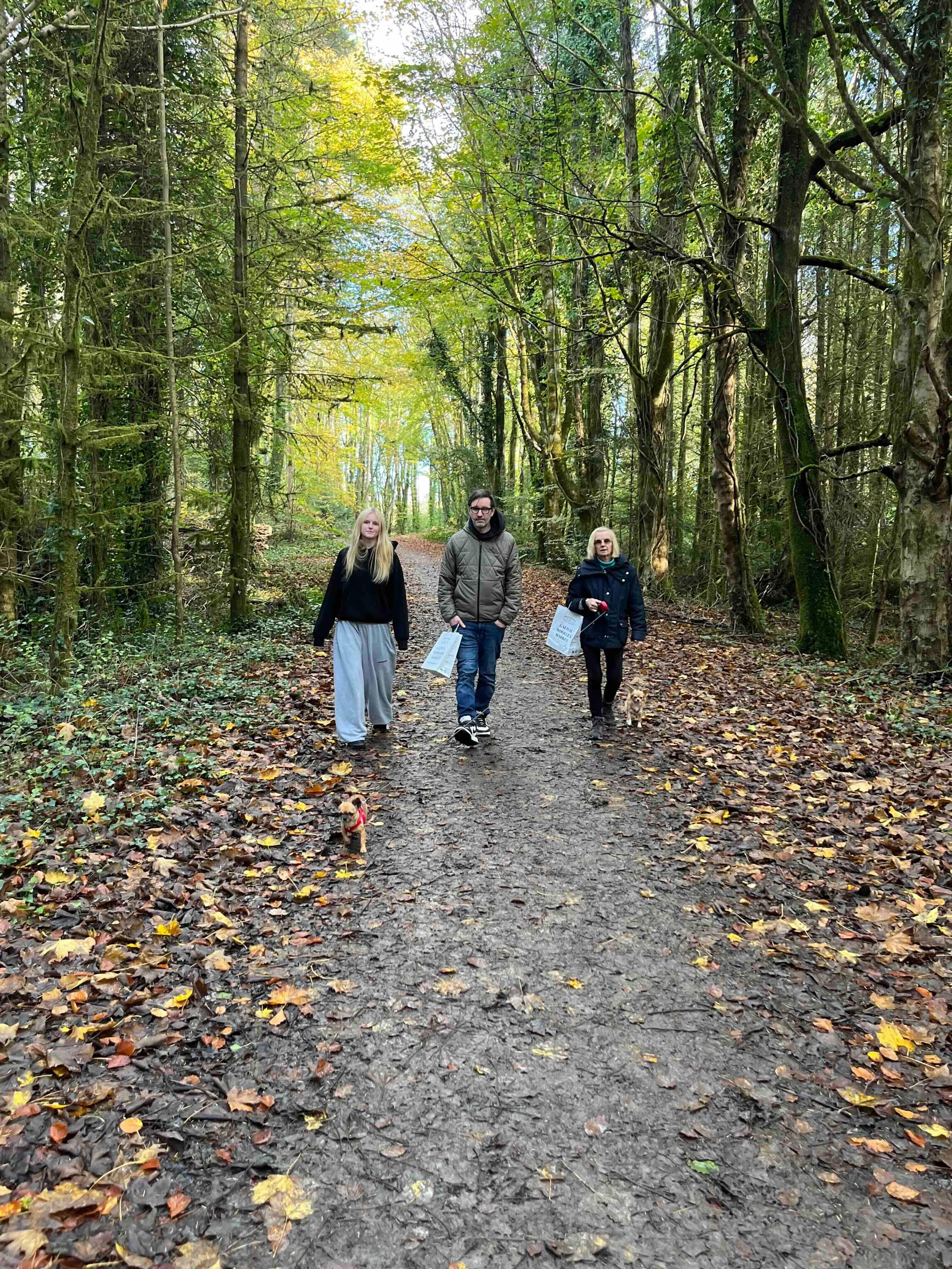 Forest walk, river Owenmore