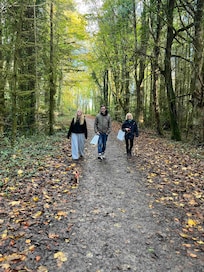 Forest walk, river Owenmore