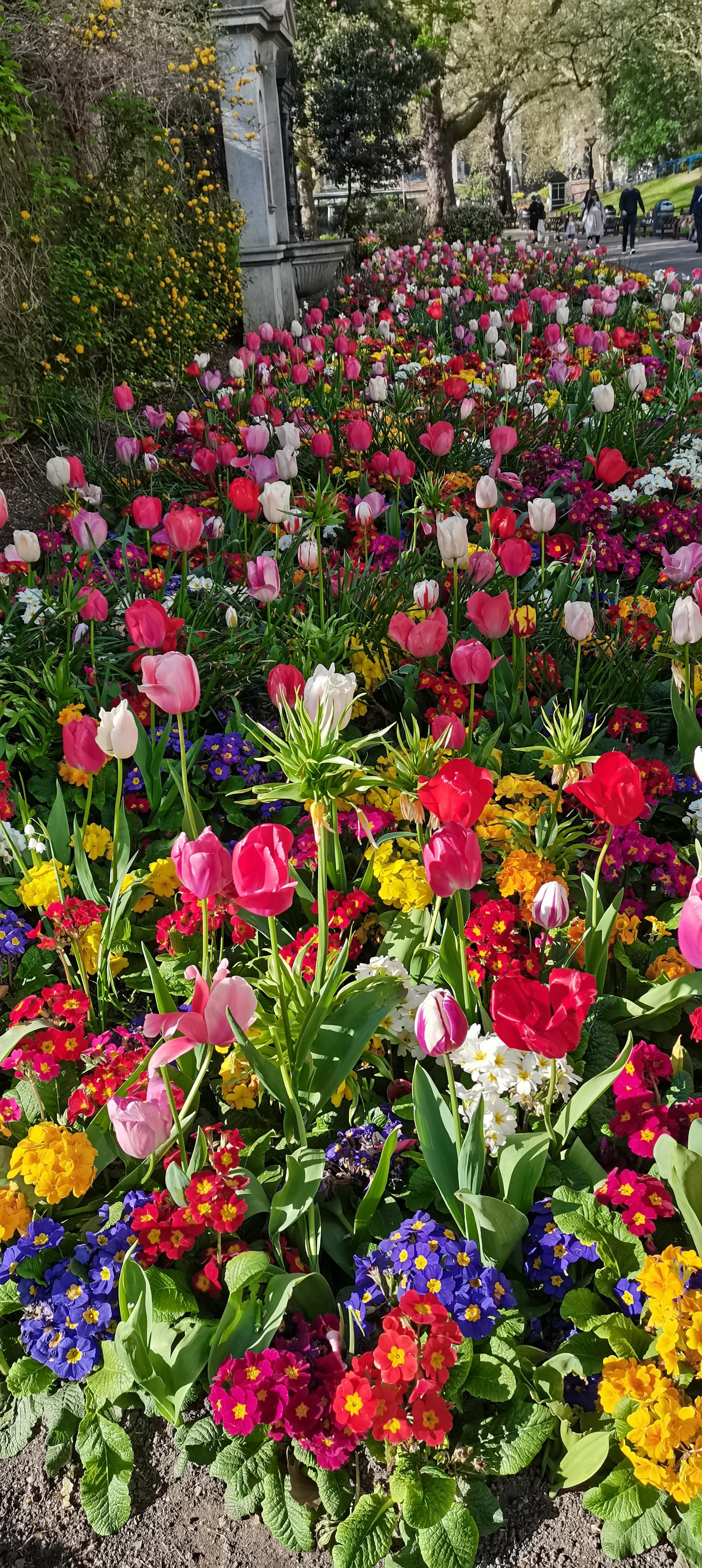 Victoria Park by The Thames