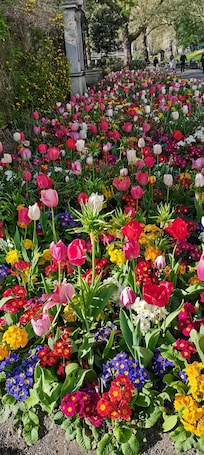 Victoria Park by The Thames