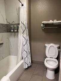 Updated shower with amenities