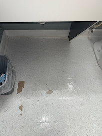 Leaking sink