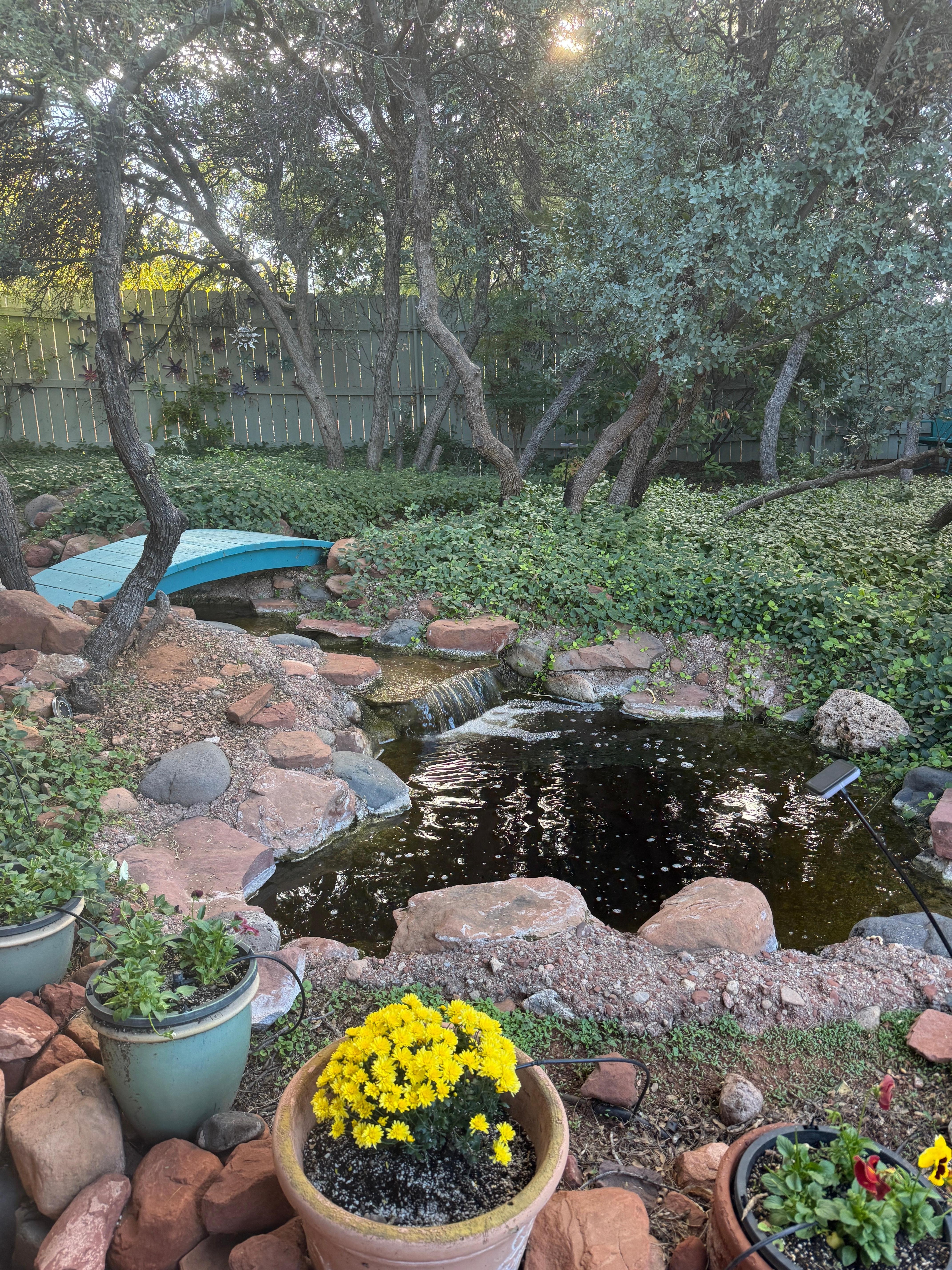 A bubbling brook in back yard area