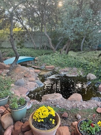 A bubbling brook in back yard area