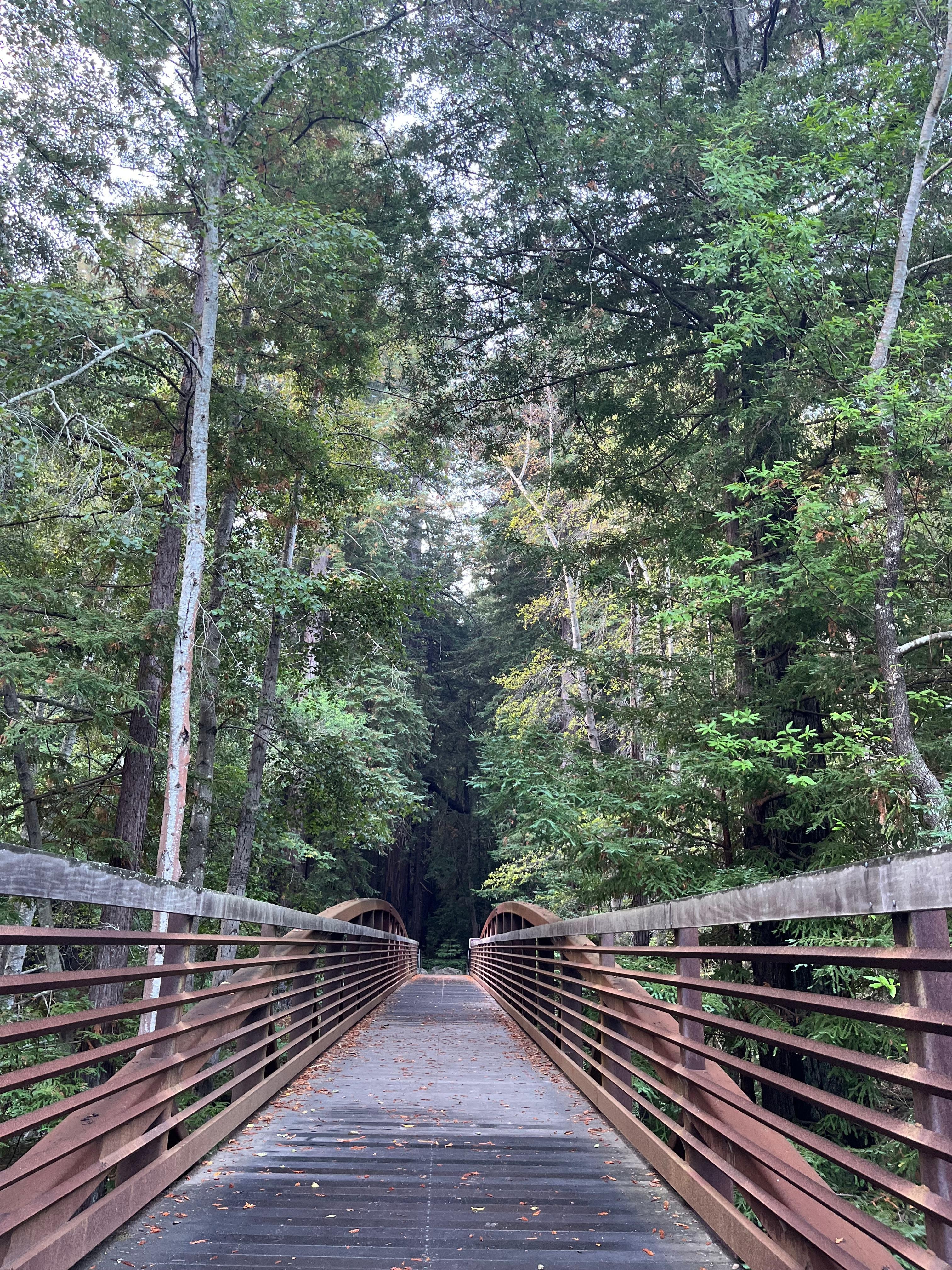 BIG SUR 州立公園内