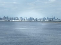Room view