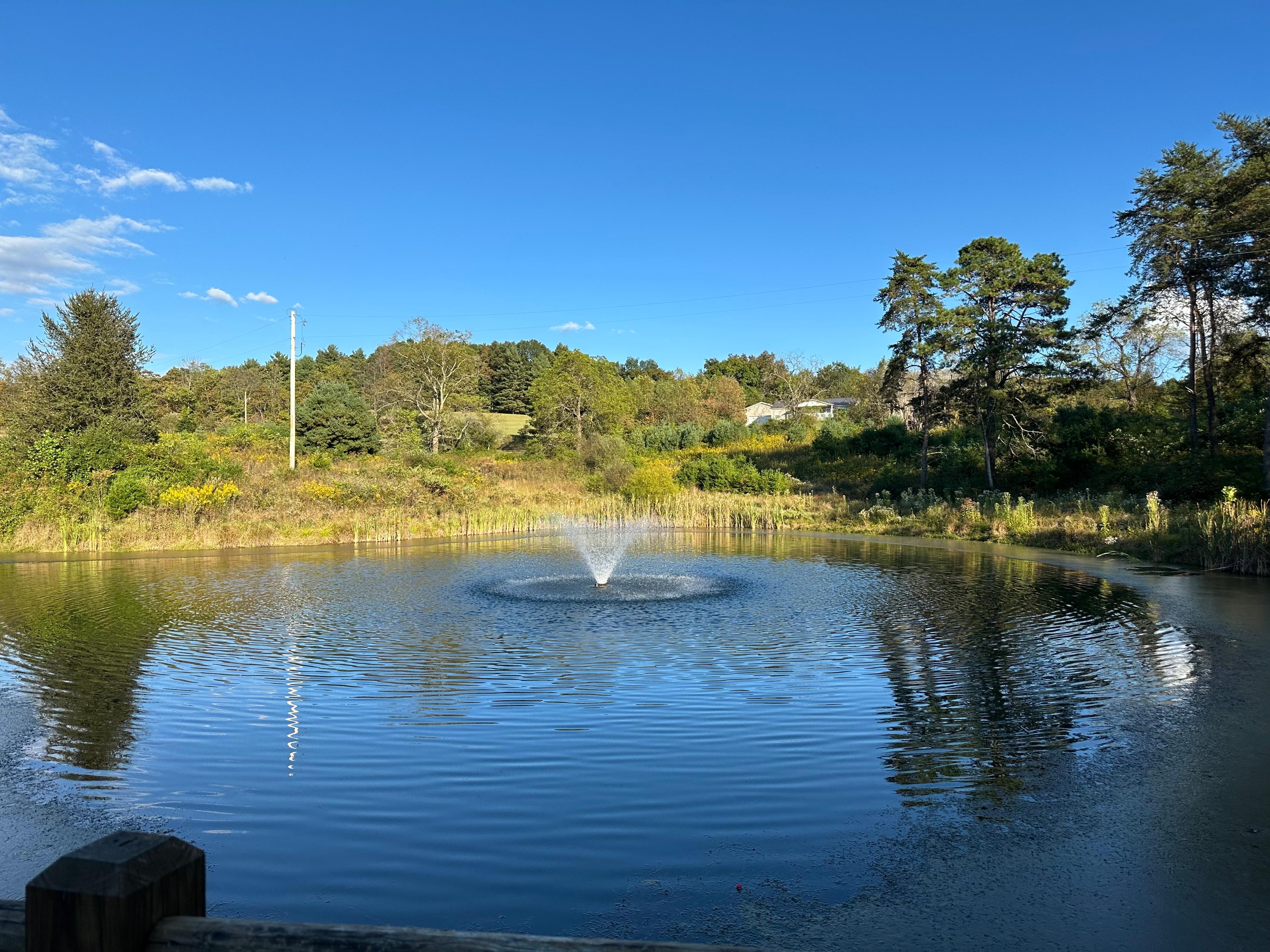 Fishing pond