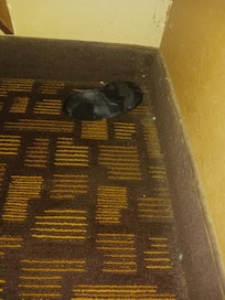 Someone left this in the room.