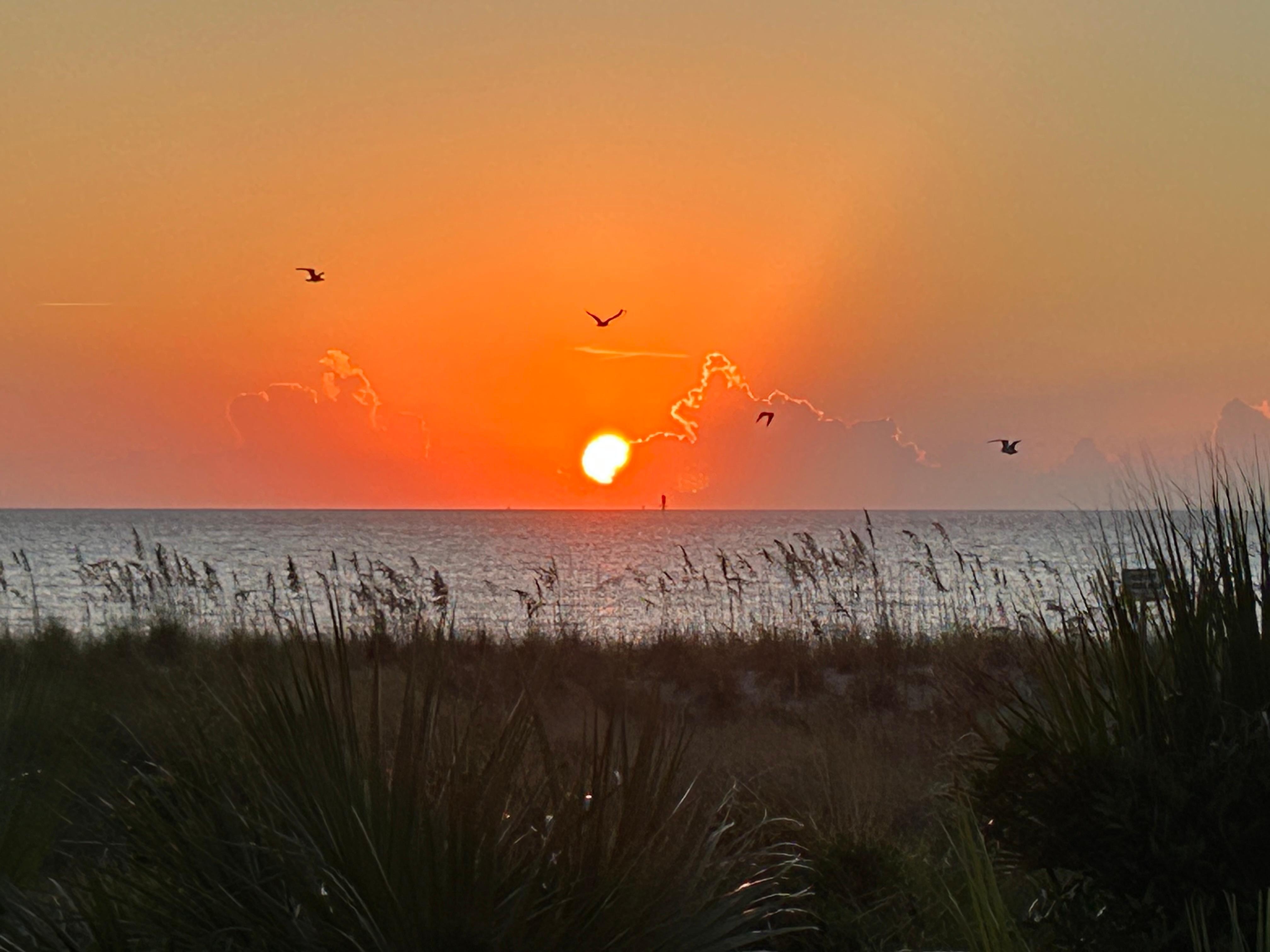 Gorgeous sunrise from the condo balcony. 