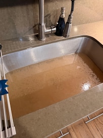 Backed up kitchen sink. It was like that all weekend.