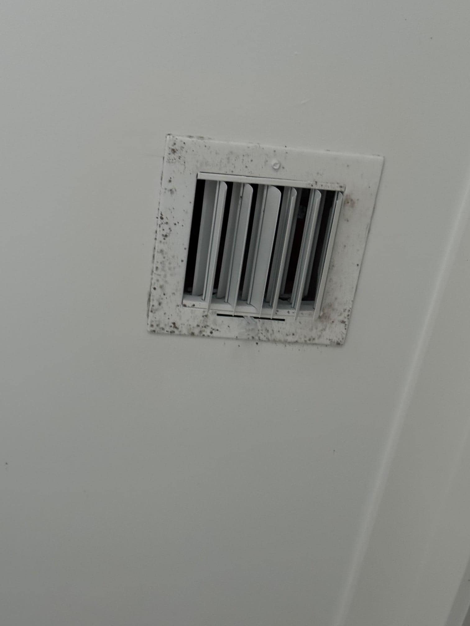Moldy bathroom vent