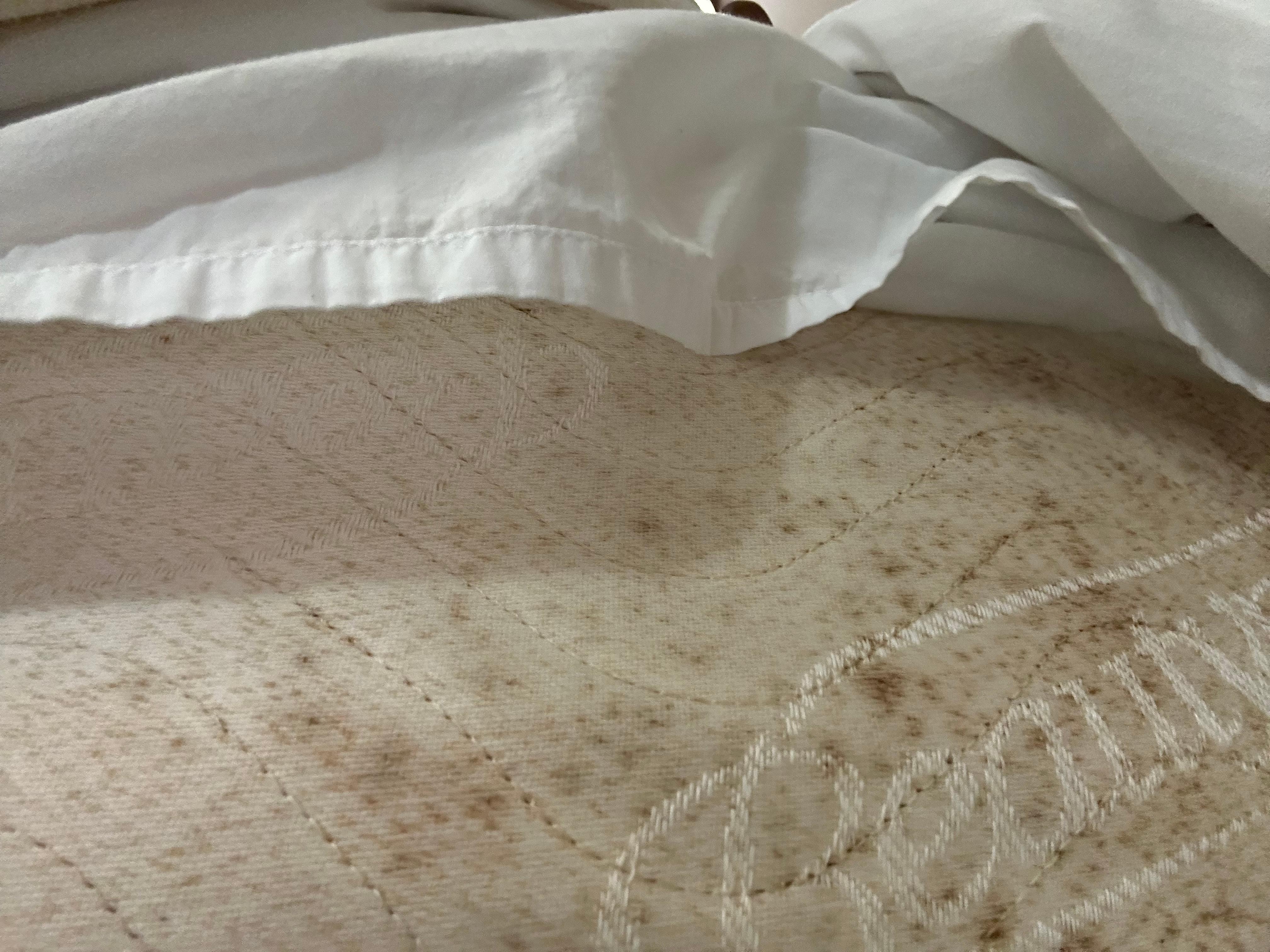 The unidentified brown stains. 