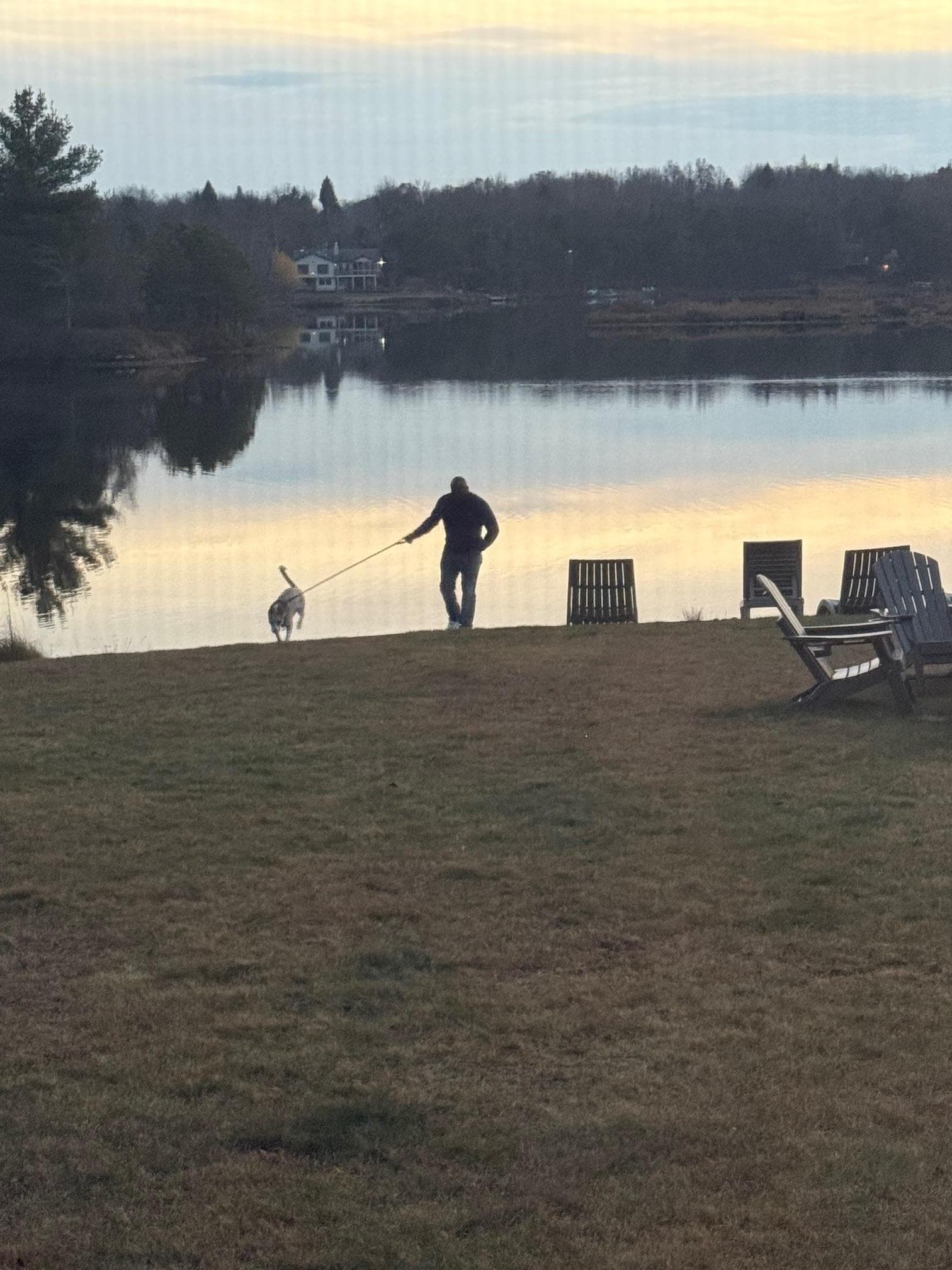 view from living room window