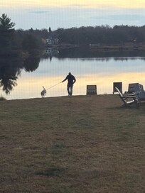 view from living room window