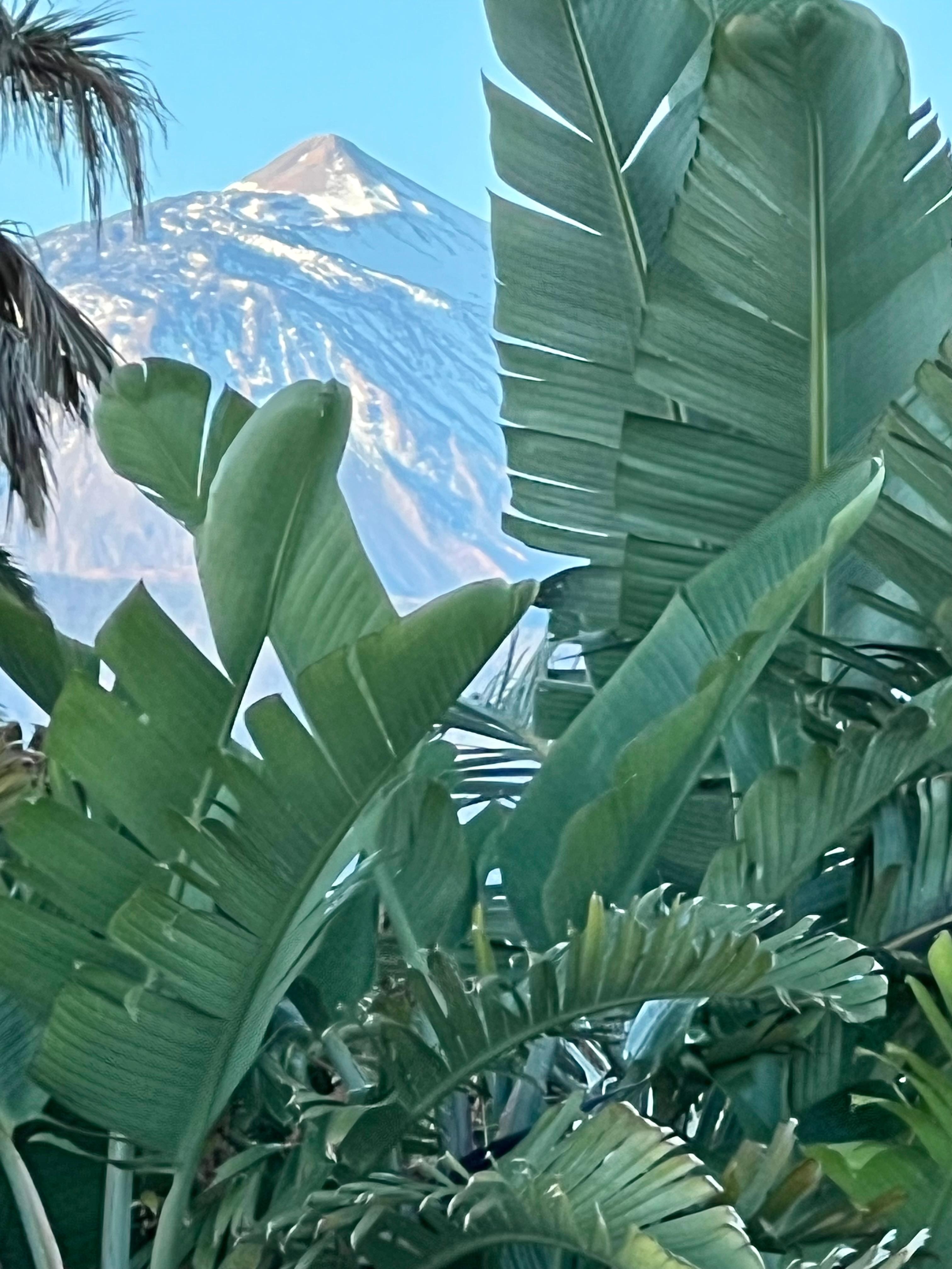 Vue de la villa en sirotant un café ☕️ 