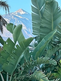 Vue de la villa en sirotant un café ☕️