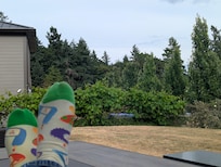 The good view from the yard (the other side is a brick firehouse)