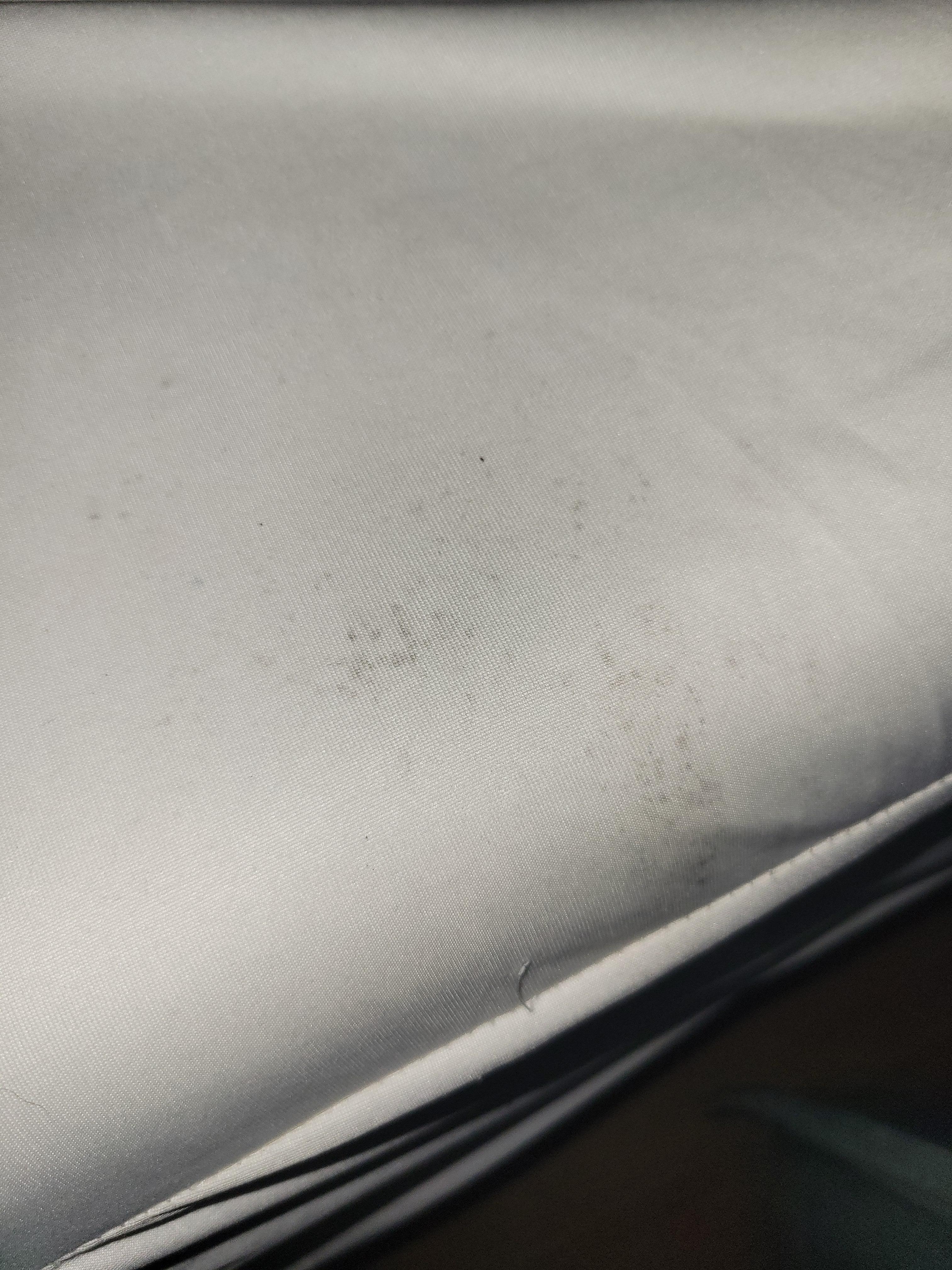Mold on the matress cover.