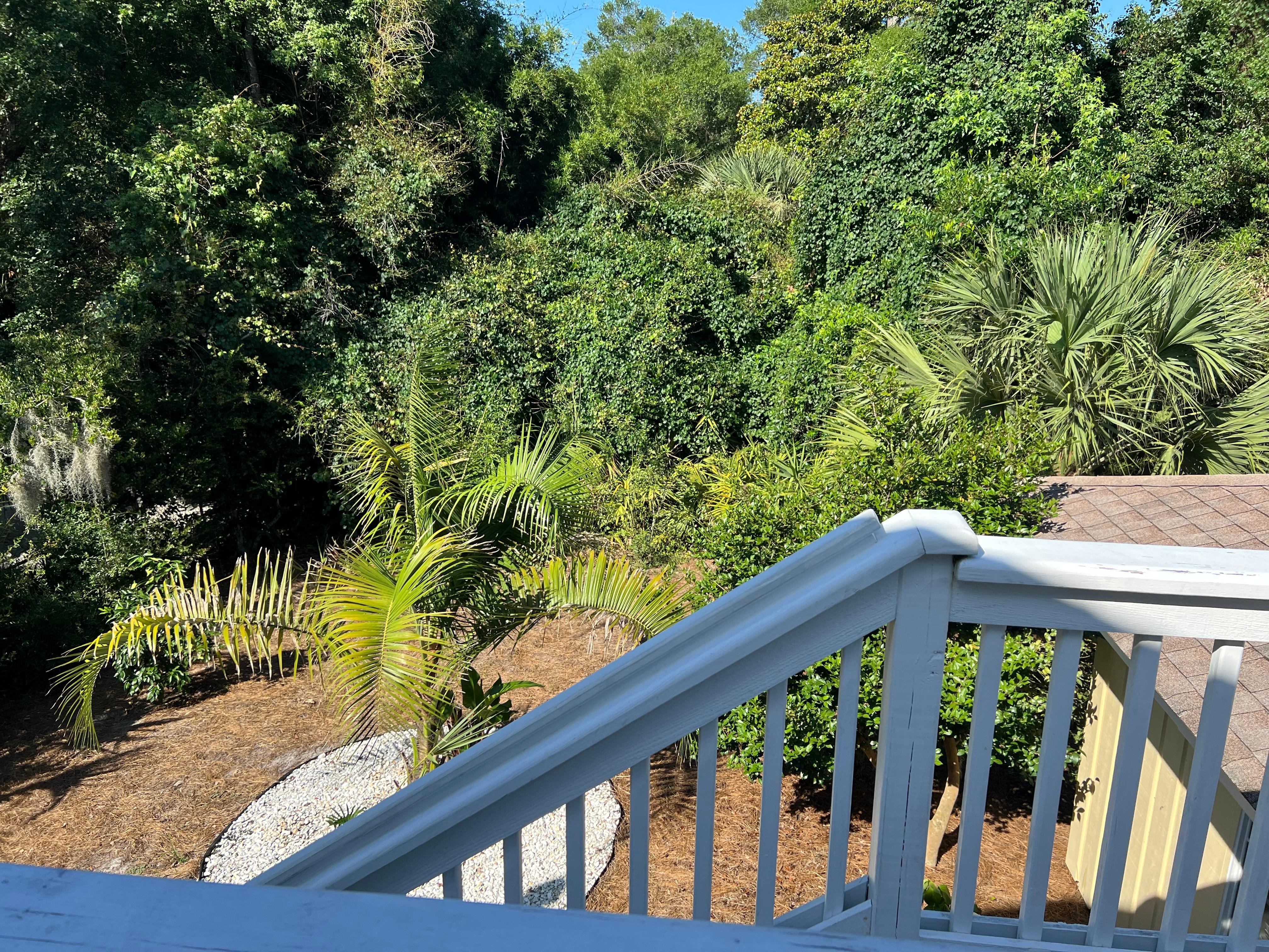 Fenced in private yard for dog.
