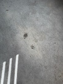 Close up on some of the spots with something that looked like gum ground into the carpet