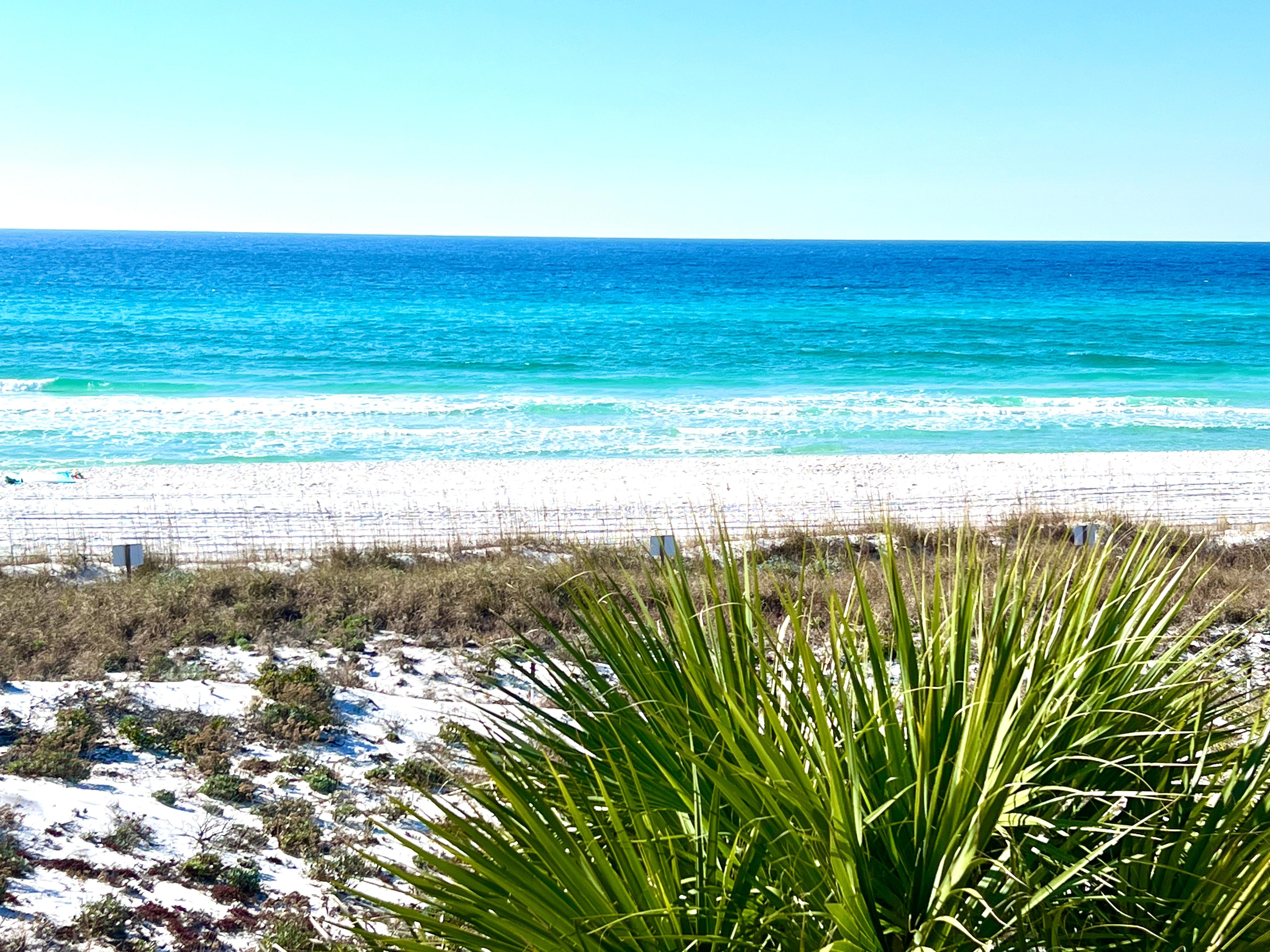 A beautiful sunny day