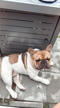 Karl enjoying himself