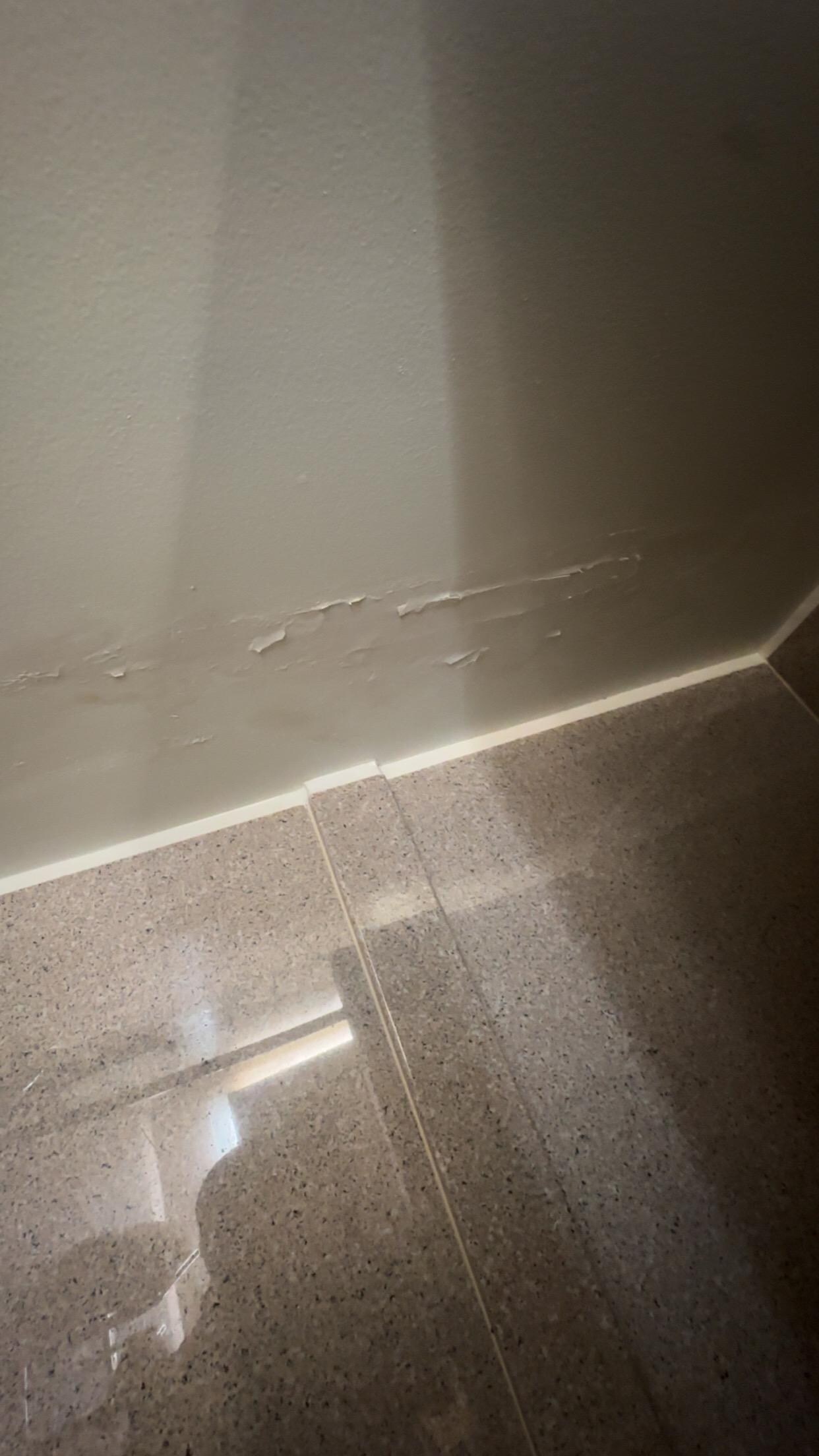 Ceiling in bathroom over the shower 