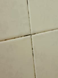 Mildew between shower tiles