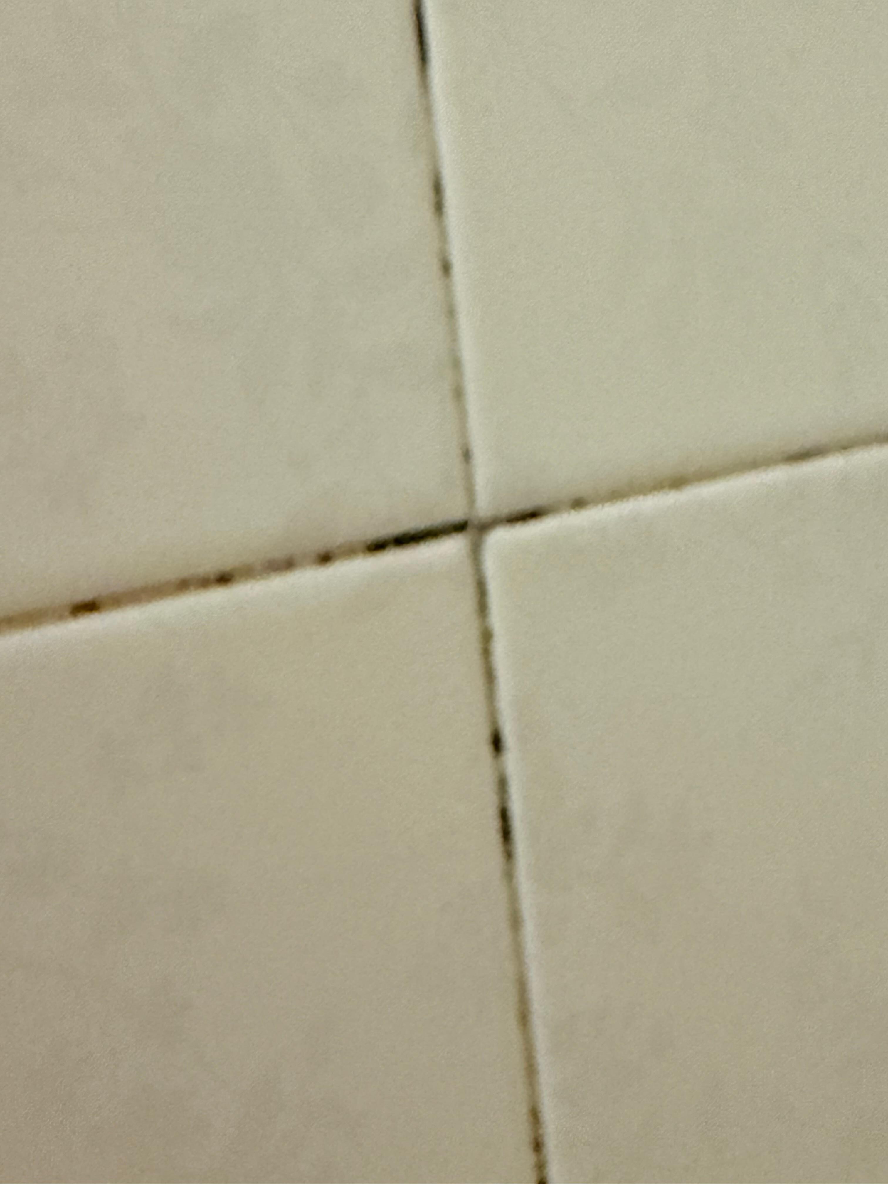 Mildew between shower tiles