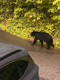 A little friend stopped by to check out the fun!