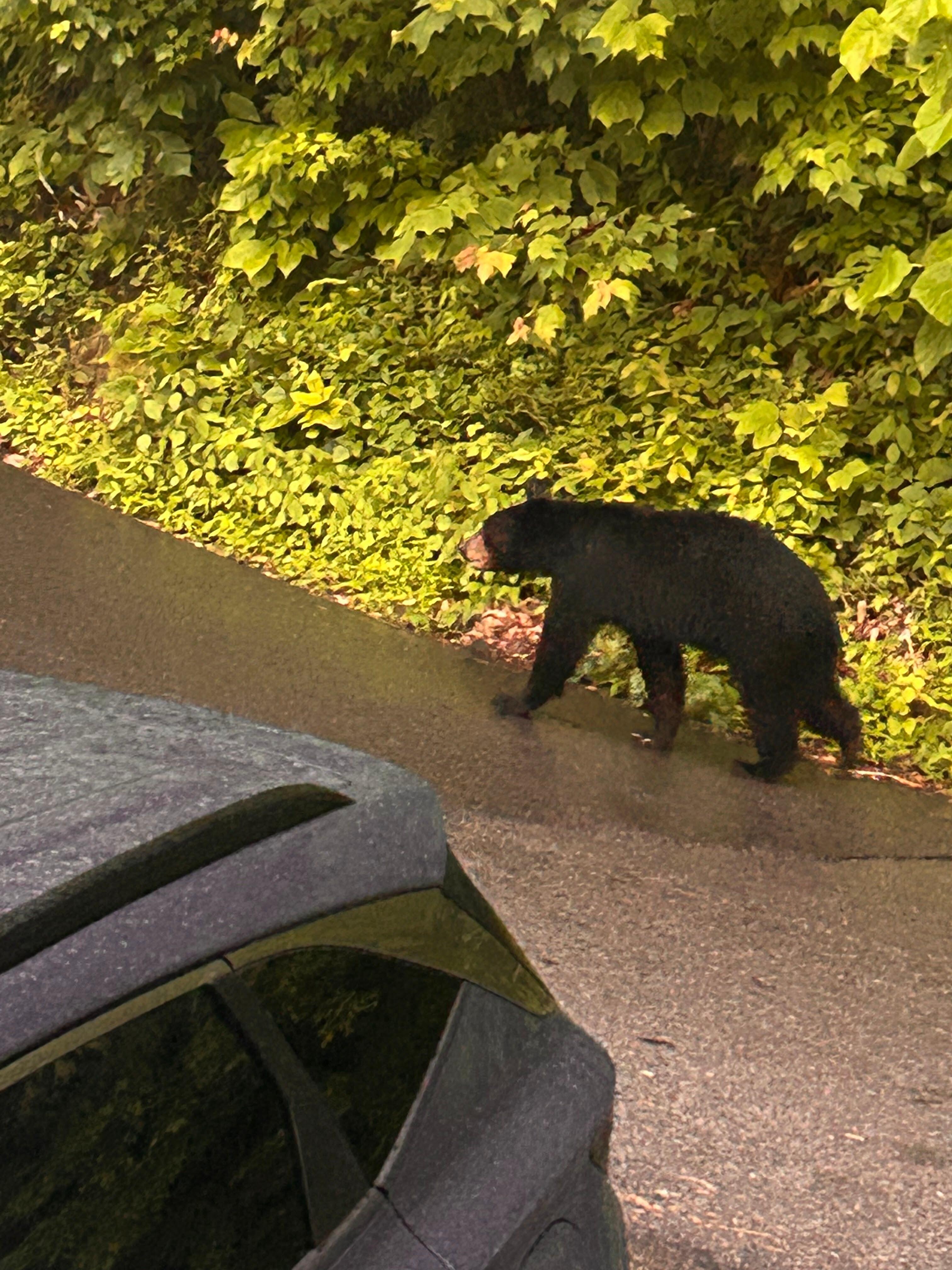 A little friend stopped by to check out the fun!
