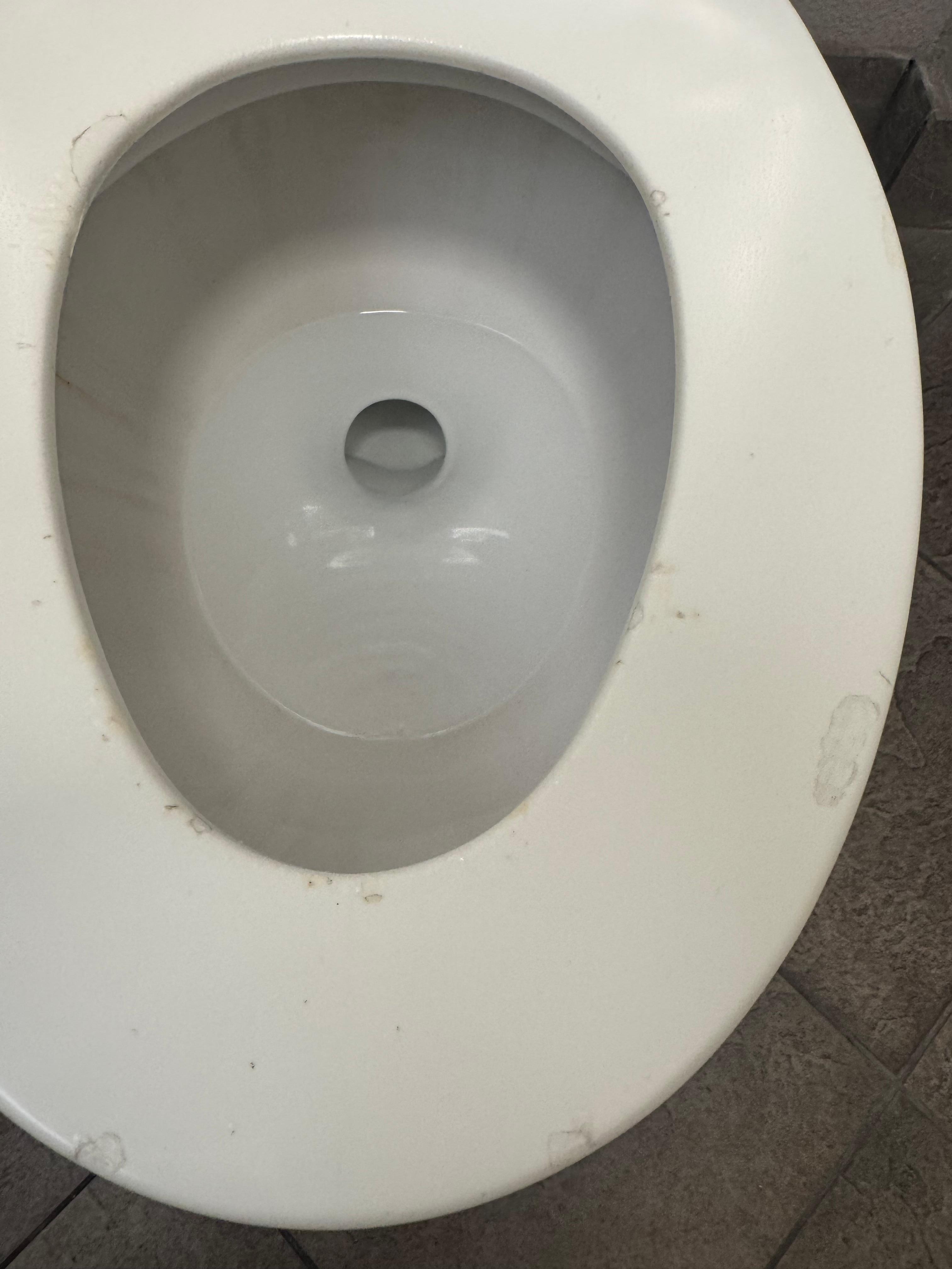 Toilet seat