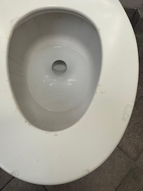 Toilet seat