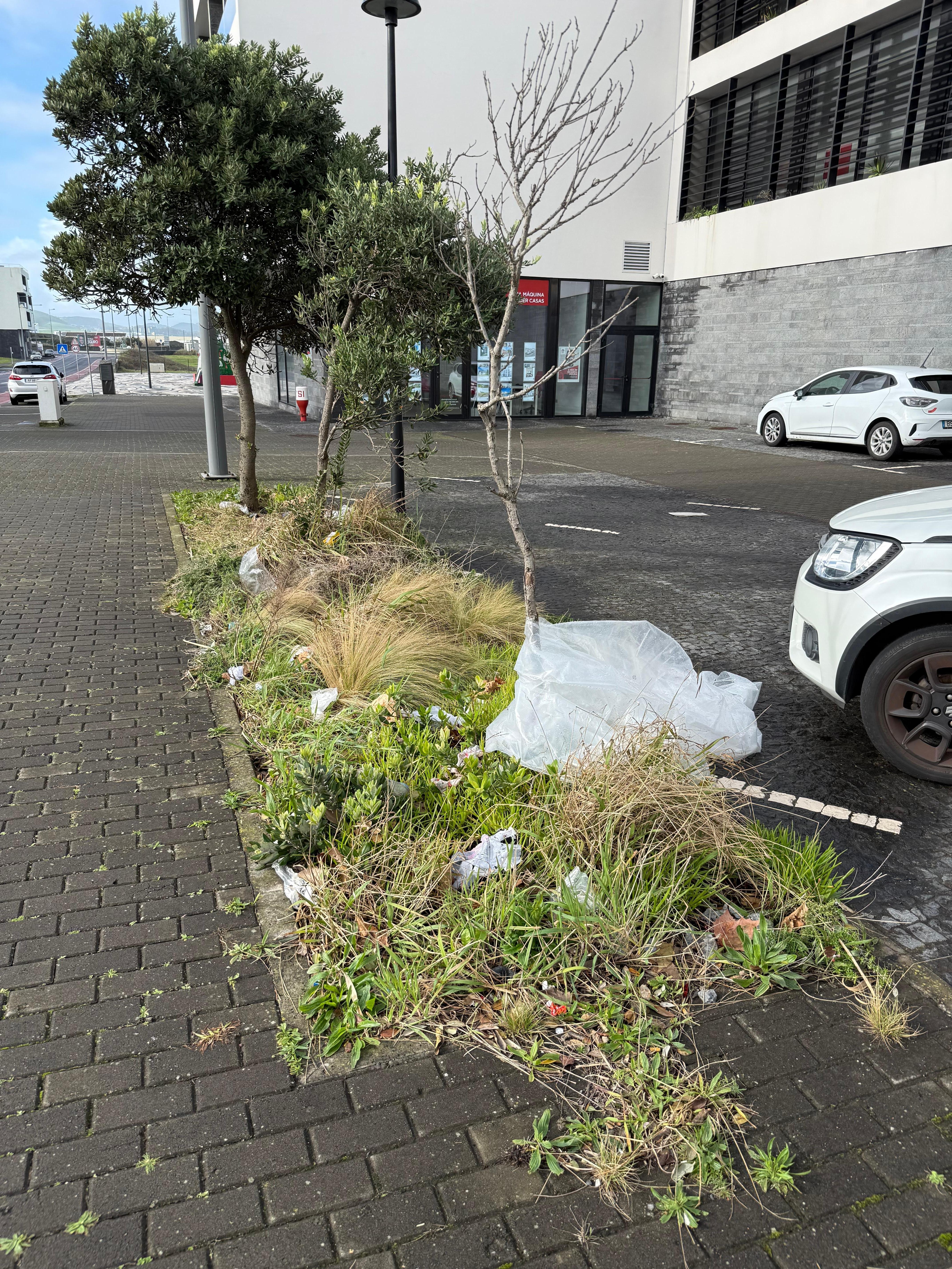 Sehr viel Müll an mindestens 3 Tagen vor dem Hotel