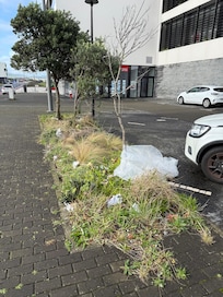 Sehr viel Müll an mindestens 3 Tagen vor dem Hotel