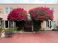 Back patio