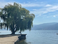 A quiet place to sit and read a book or take photos of birds
