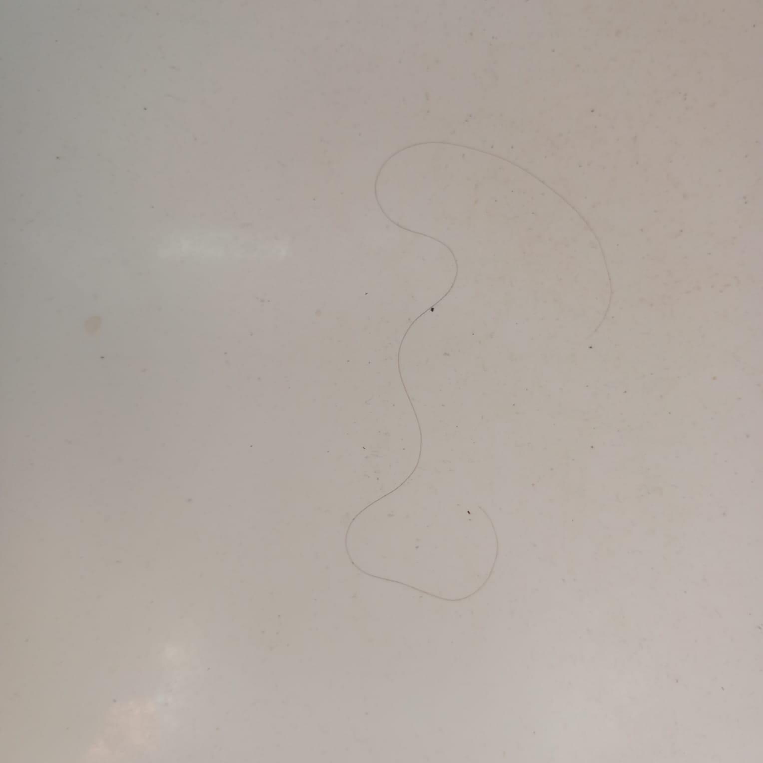 Hair in Shower 2