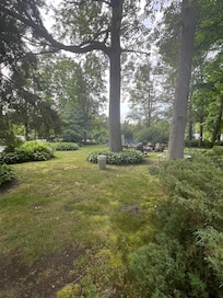 Community gardens and fire pit.