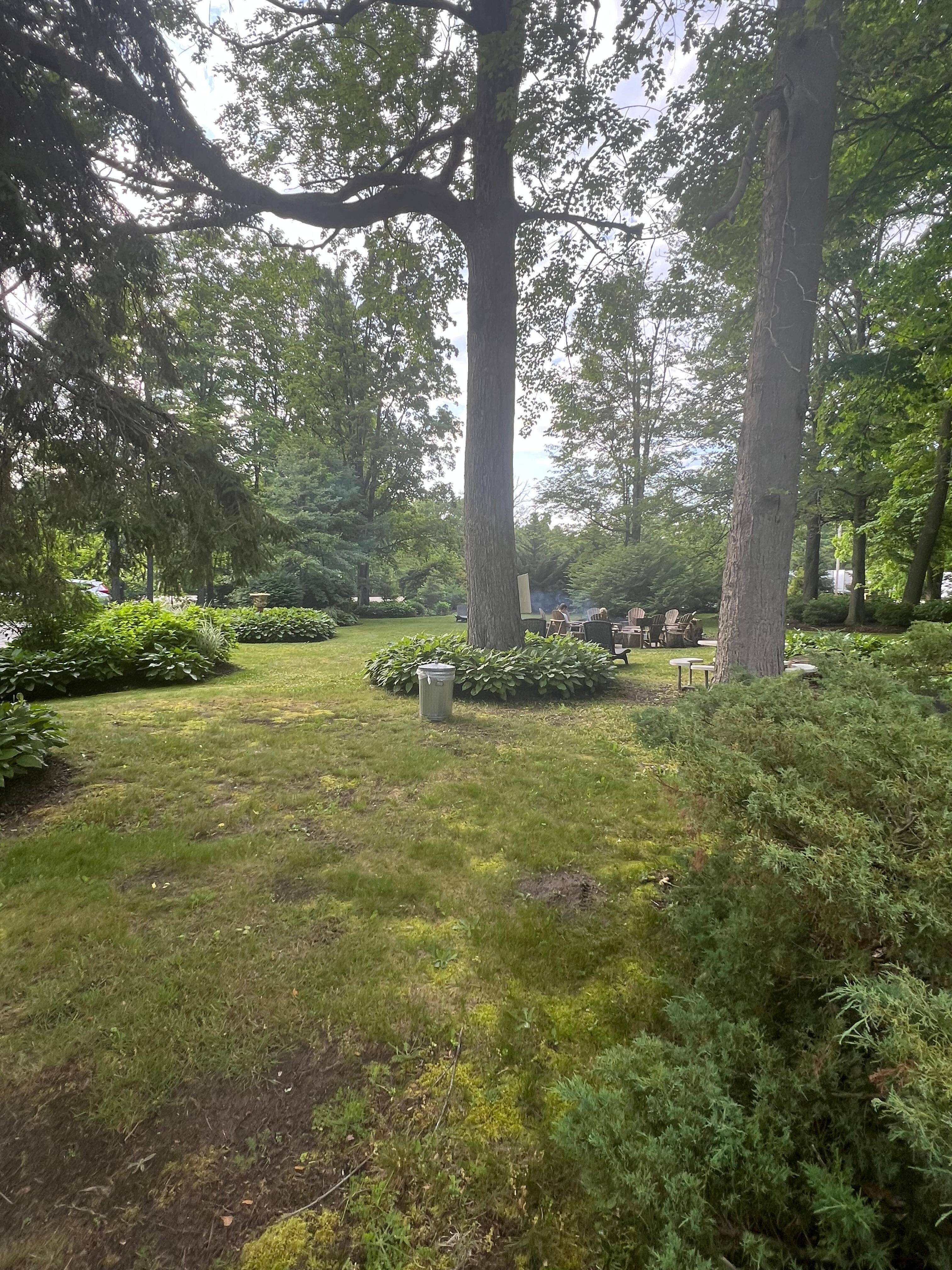Community gardens and fire pit.