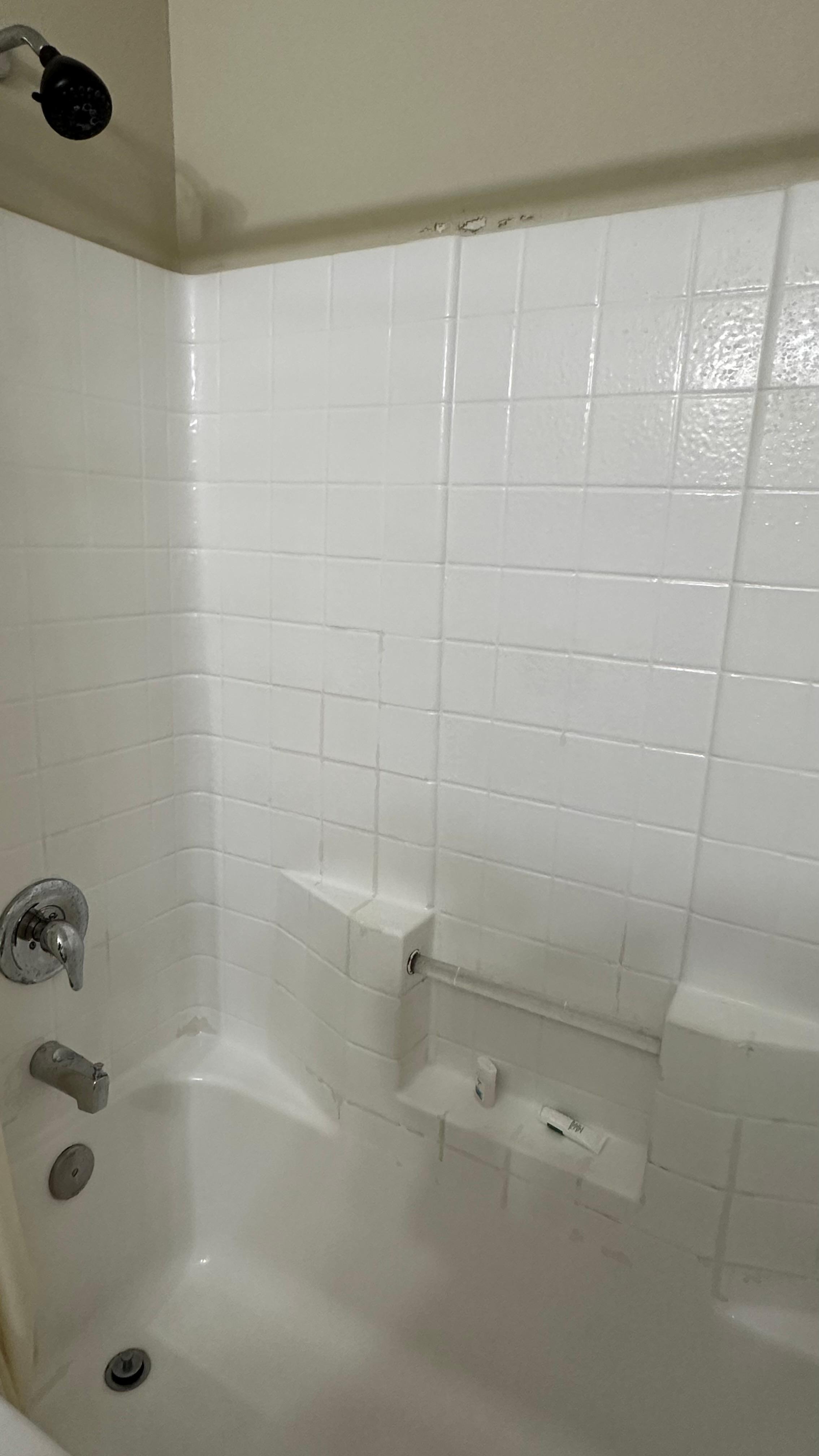 For some reason, somebody thought it would be a great idea to paint the bathtub and you’ll get paint flakes all over you if you use a bar soap