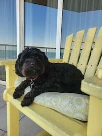 Enjoying watching the beach