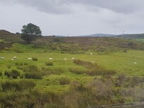 Scenery around lodging