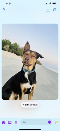 Dukie enjoying the beach